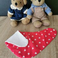 Nyálkendő Nyálkendő